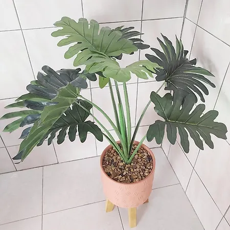 T3 Renove En Face Des Thermes شقة *